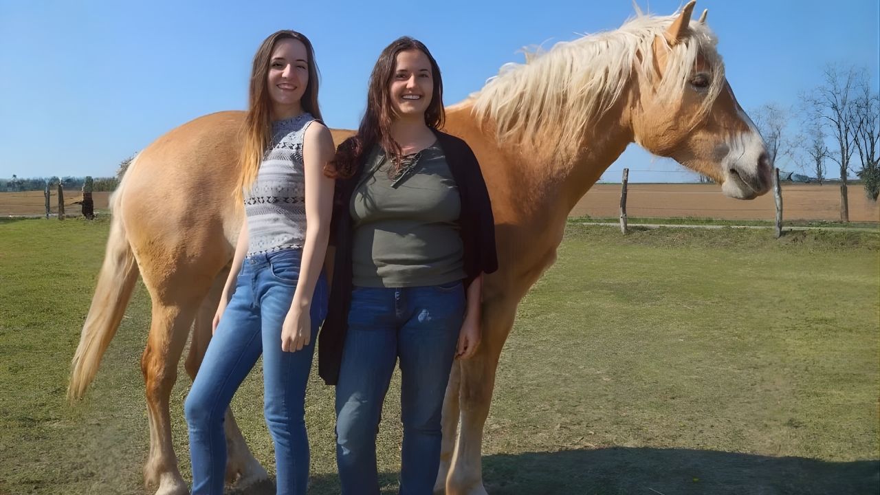 Mindfulhorse Academy